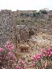 sm_AR-P6024189.JPG