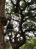 sm_AR-P6024249.JPG
