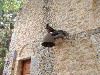 sm_P6020022.JPG