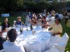 sm_P6020095.JPG