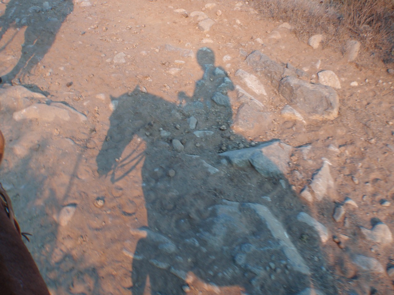 sm_AR-PA275947.JPG