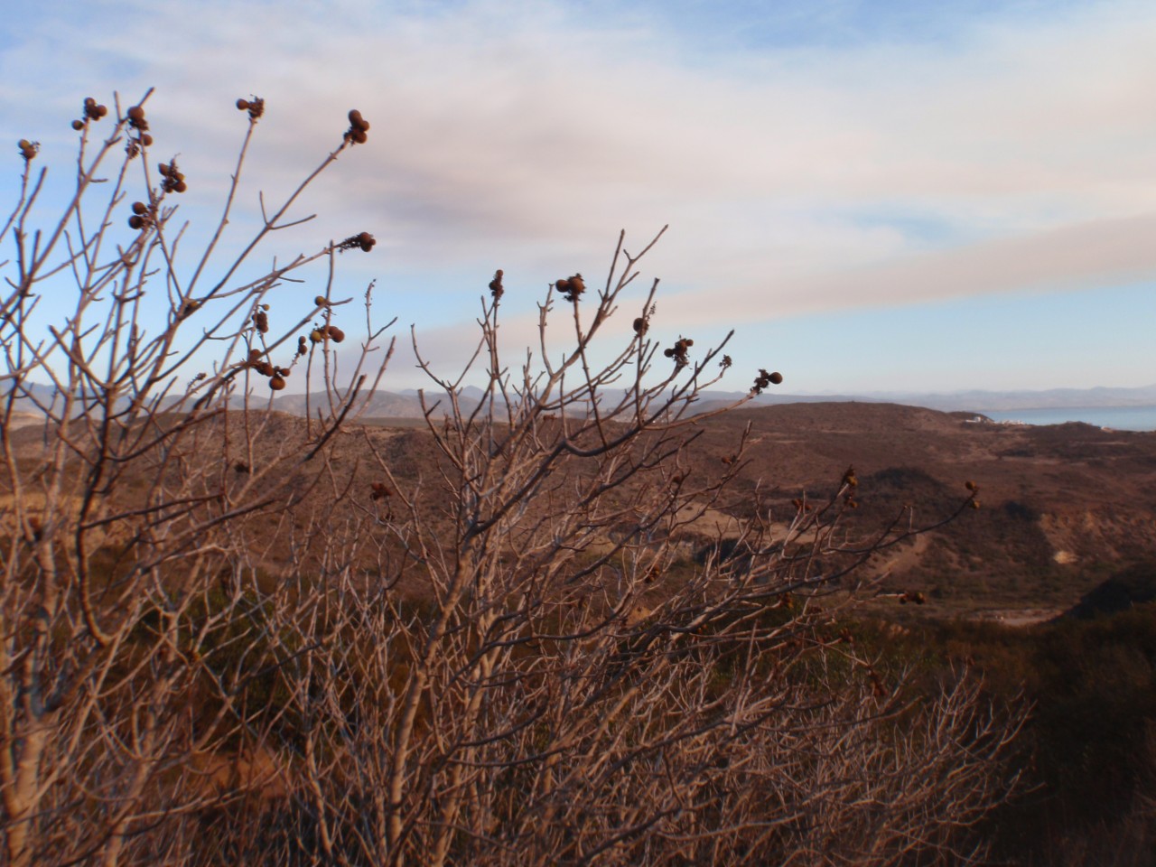 sm_AR-PA275958.JPG