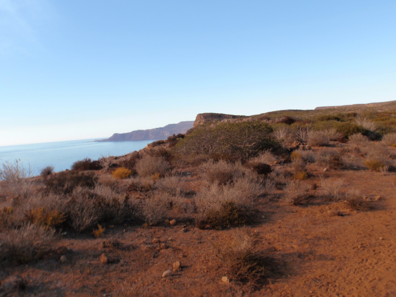 sm_AR-PA276014.JPG