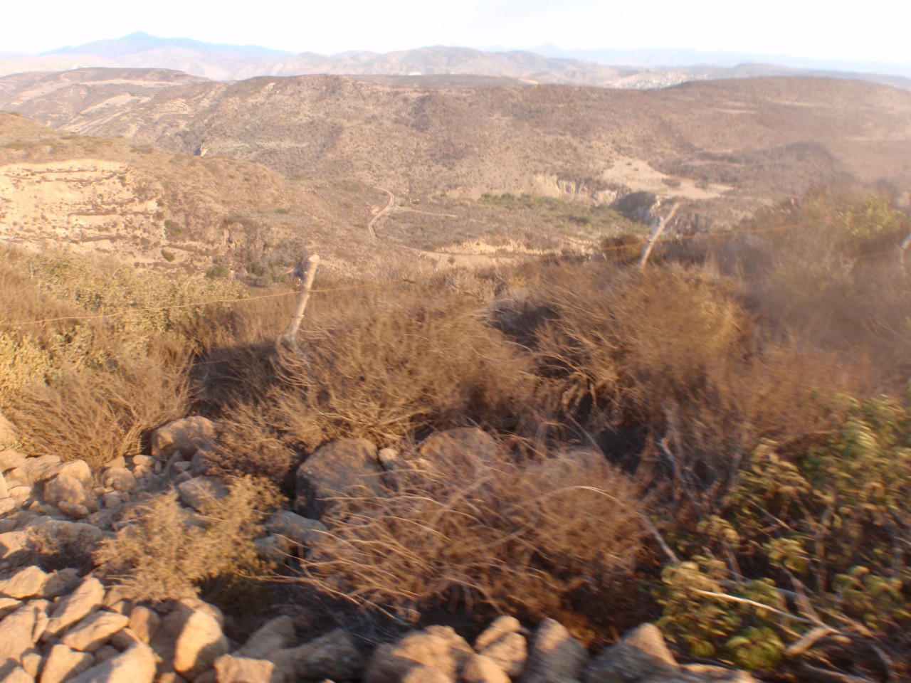 sm_PA271545.JPG