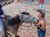 sm_AR-PA275939.JPG