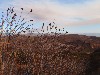 sm_AR-PA275958.JPG
