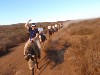 sm_AR-PA275972.JPG