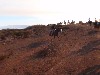 sm_AR-PA276015.JPG