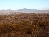 sm_AR-PA276019.JPG