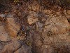 sm_AR-PA276053.JPG