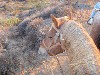 sm_AR-PA276064.JPG