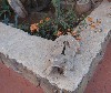 sm_AR-PA276101.JPG