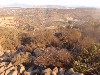 sm_PA271545.JPG