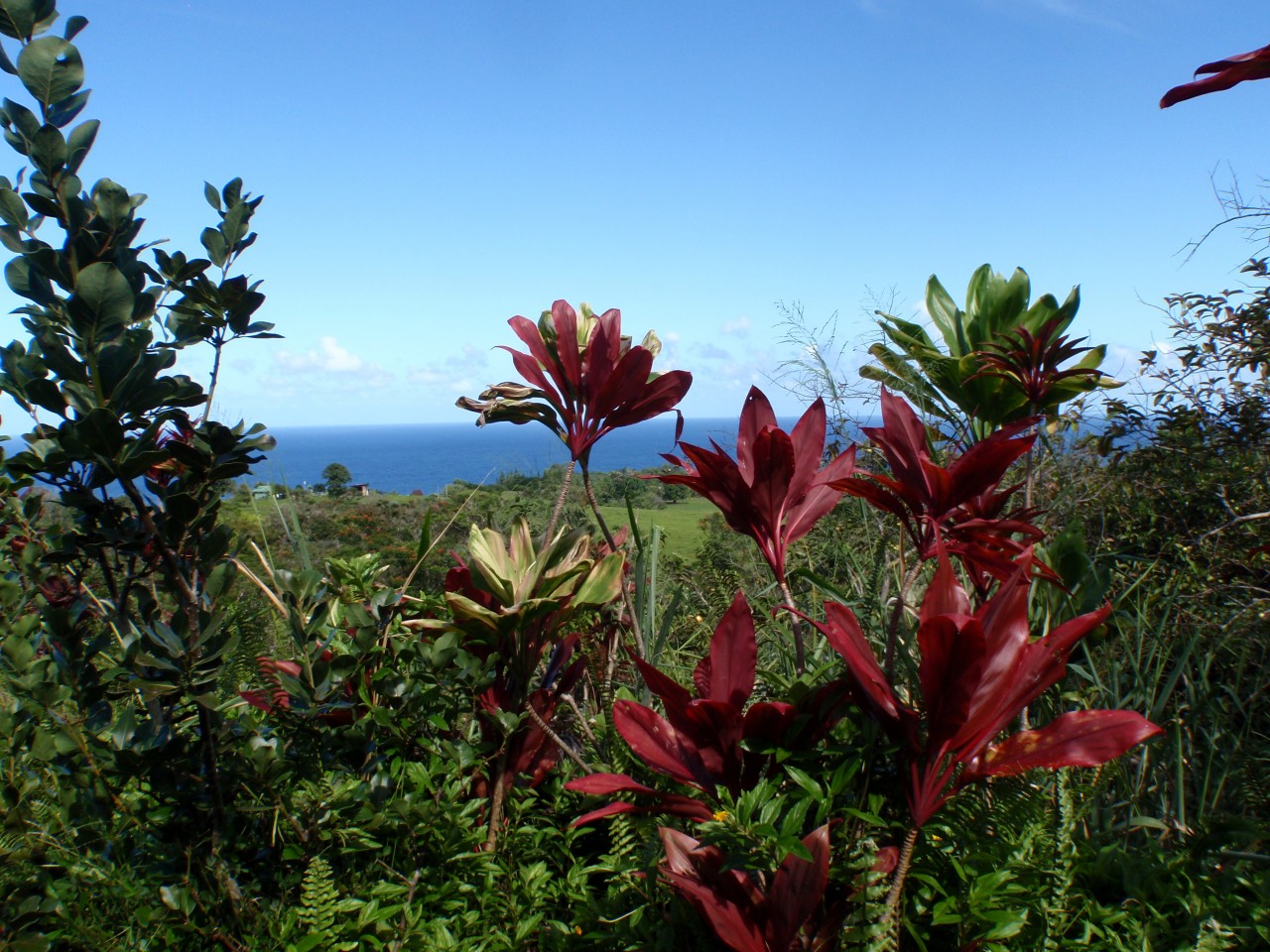 sm_AR-PA221179.JPG