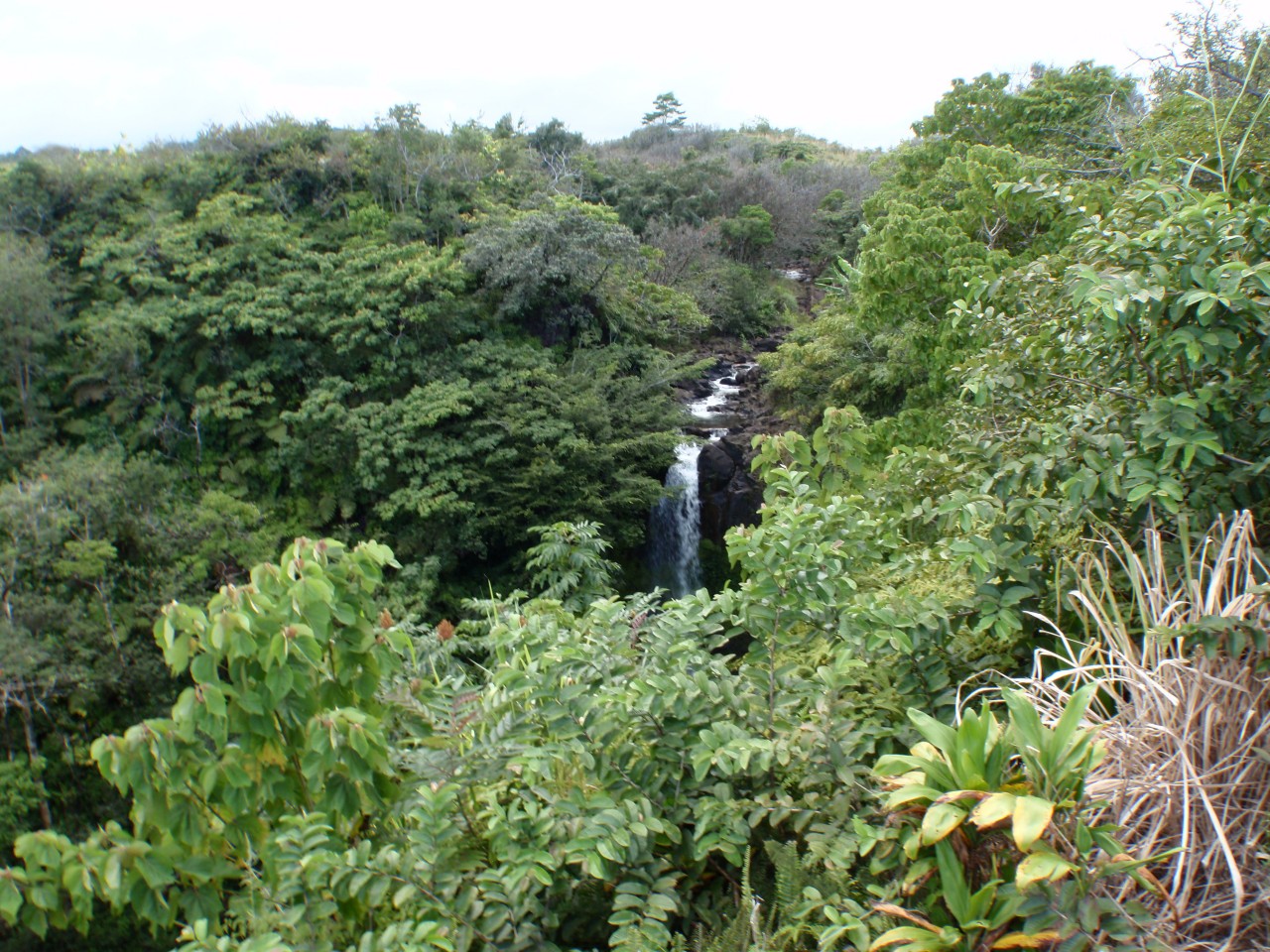 sm_PA221260.JPG
