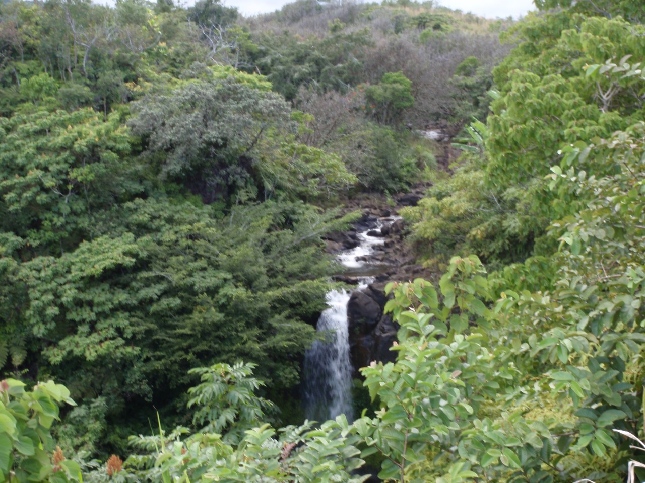 sm_PA221264.JPG