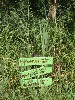 sm_AR-PA221150.JPG