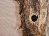 sm_AR-PA221156.JPG