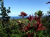 sm_AR-PA221179.JPG