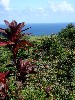 sm_AR-PA221183.JPG