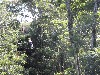 sm_PA225740.JPG