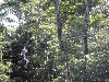 sm_PA225741.JPG