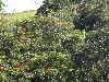 sm_PA225760.JPG