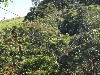sm_PA225761.JPG