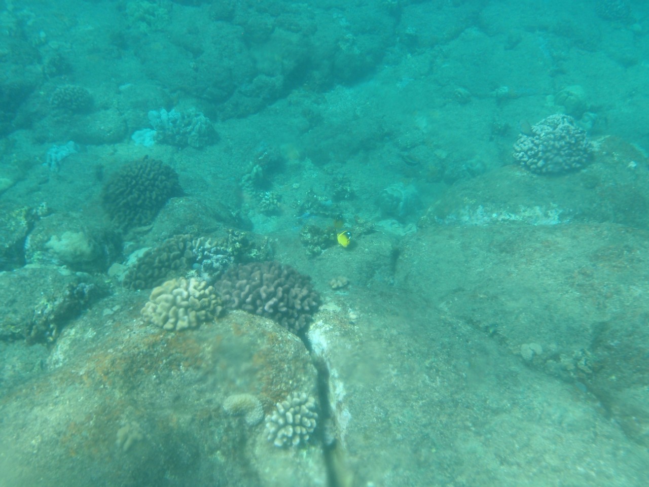 sm_AR-PA205231.JPG