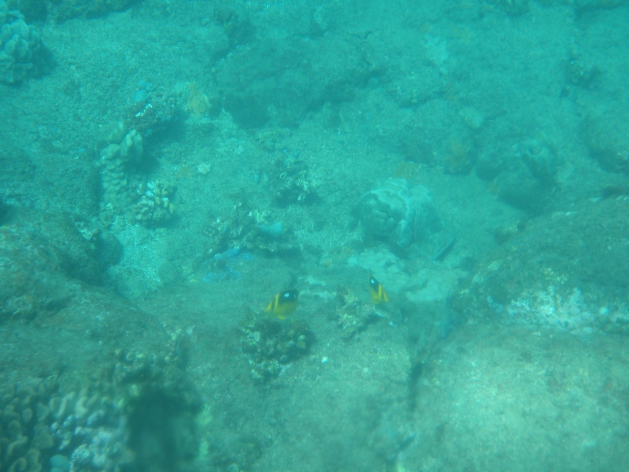 sm_AR-PA205232.JPG