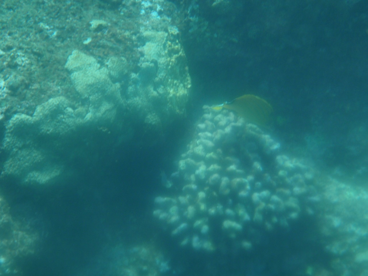 sm_AR-PA205235.JPG
