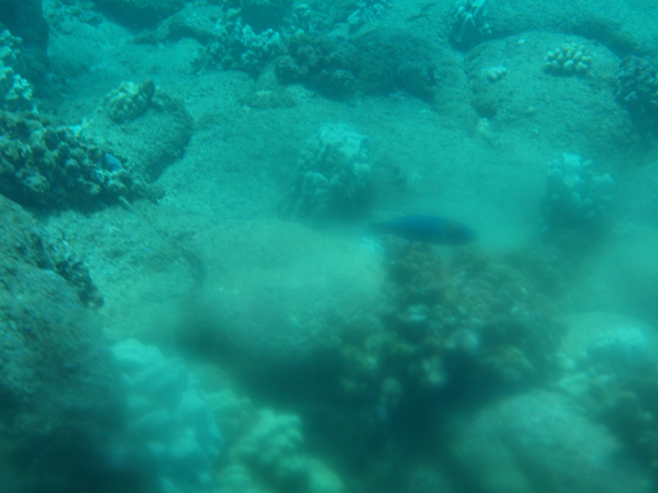 sm_AR-PA205246.JPG