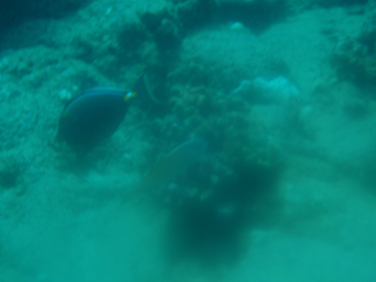 sm_AR-PA205256.JPG