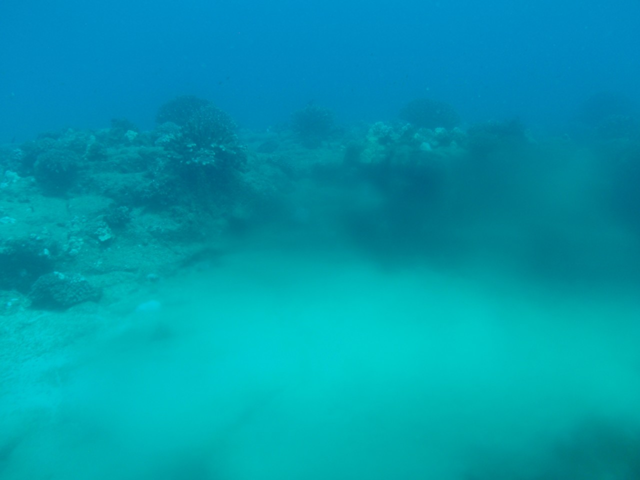 sm_AR-PA205299.JPG