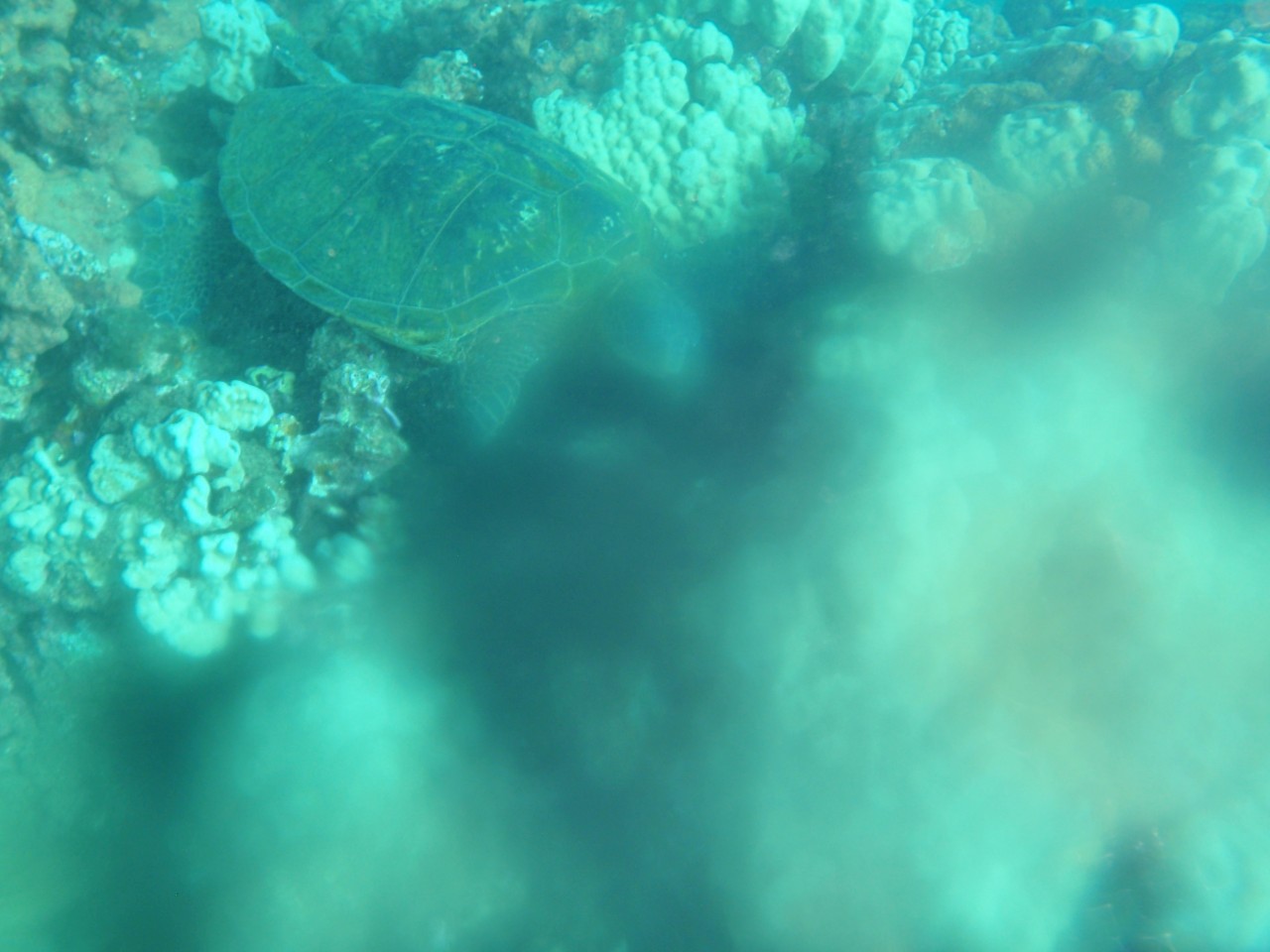 sm_AR-PA205373.JPG