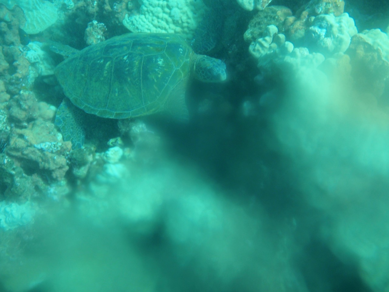 sm_AR-PA205374.JPG