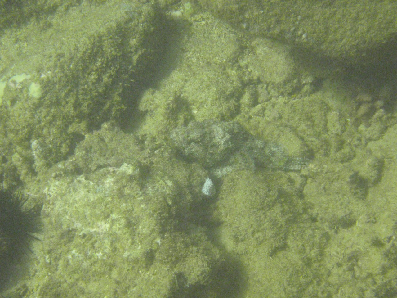 sm_PA200632.JPG