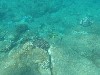 sm_AR-PA205231.JPG