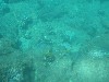 sm_AR-PA205232.JPG