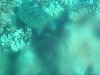 sm_AR-PA205373.JPG