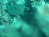 sm_AR-PA205374.JPG