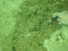 sm_PA200570.JPG