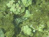 sm_PA200584.JPG