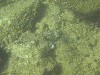 sm_PA200632.JPG