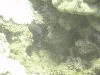 sm_PA200650.JPG