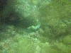 sm_PA200741.JPG