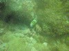 sm_PA200742.JPG