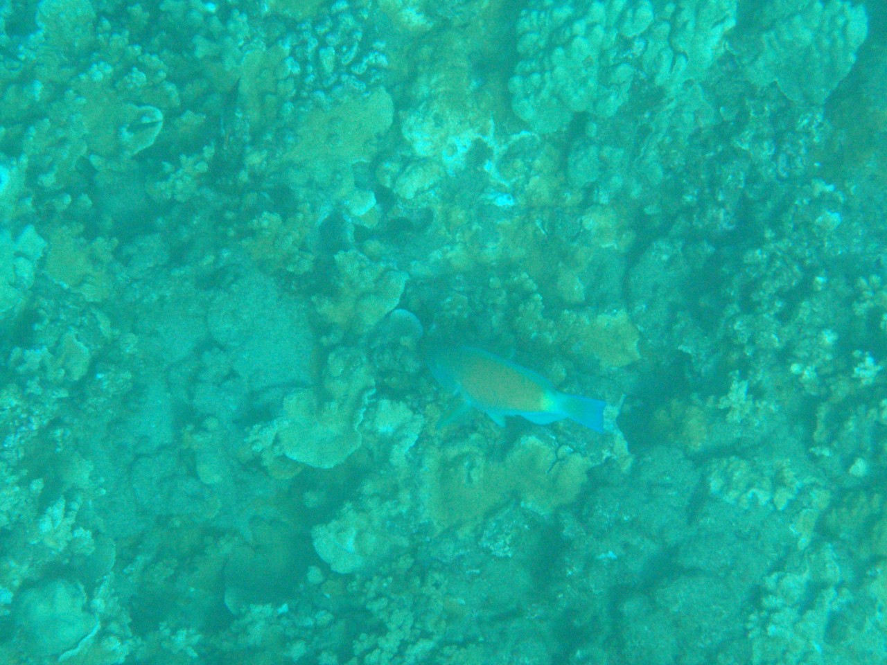 sm_AR-PA194978.JPG