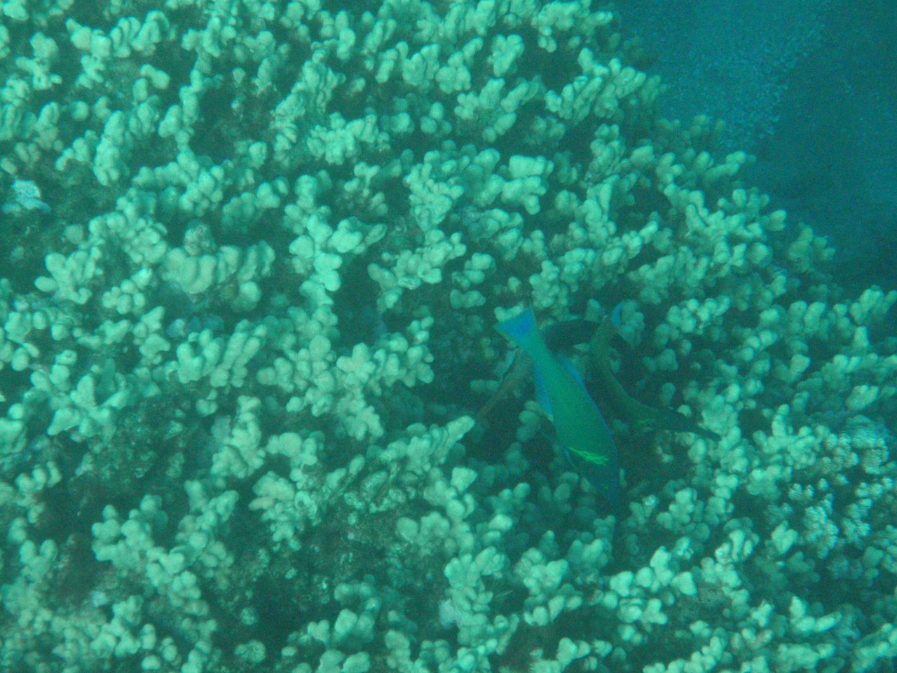sm_AR-PA194985.JPG