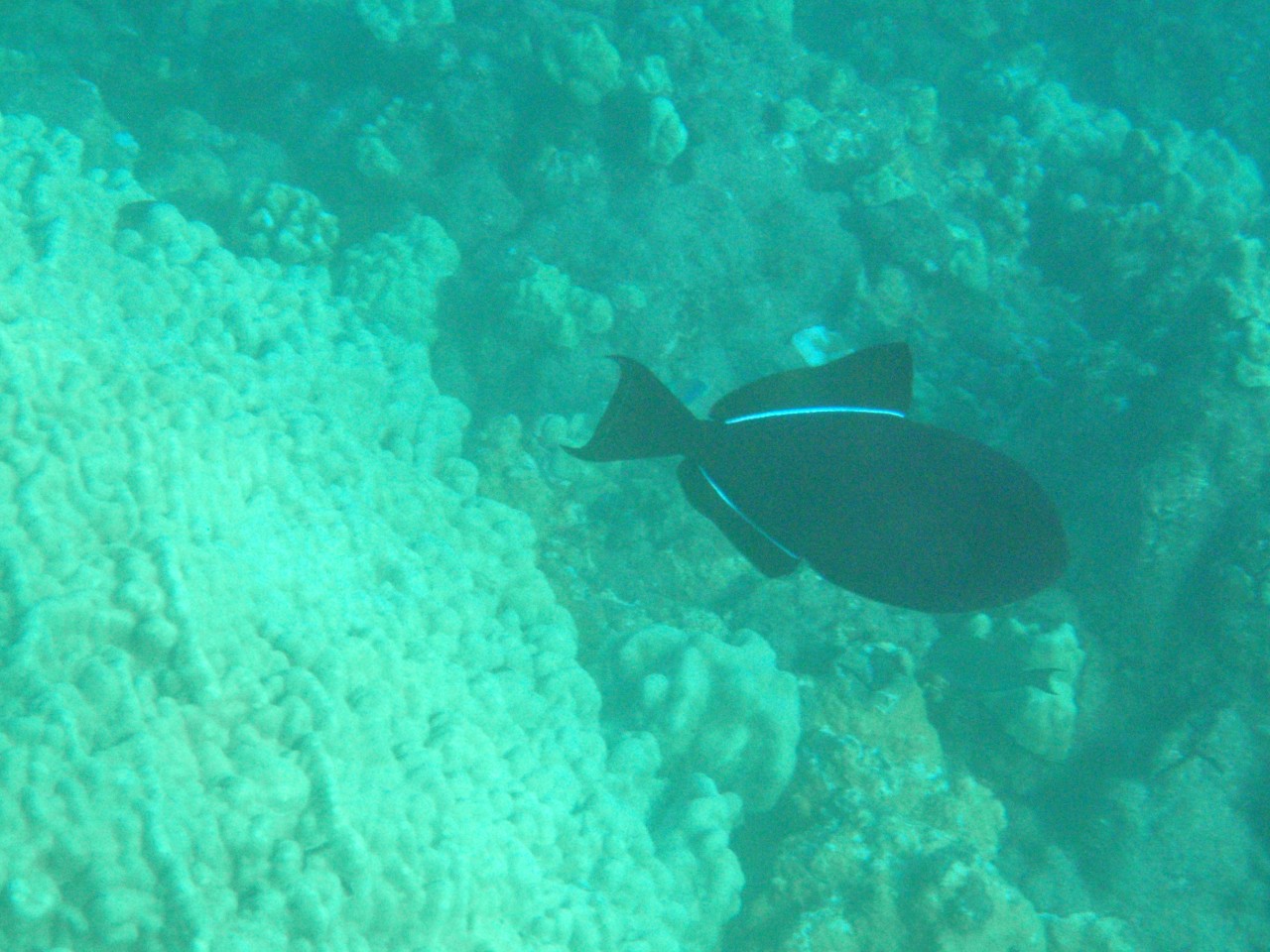sm_AR-PA194986.JPG